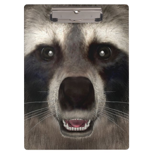 Raccoon Clipboard (Front)