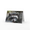 Raccoon Close-Up Card