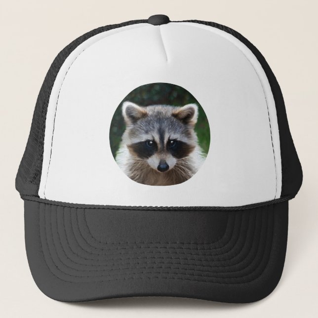 Raccoon Coon Wild Animals Wildlife Hat (Front)