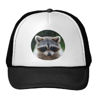 Raccoon Hats | Zazzle