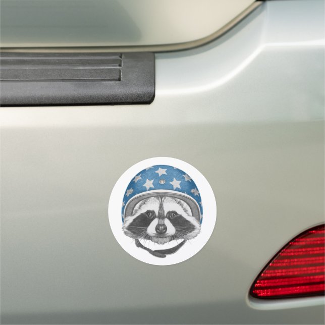 Raccoon Daredevil Car Magnet (In Situ)