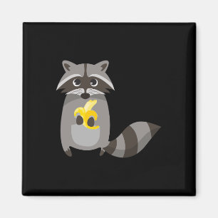 Raccoon Eating Banana Fruit Looking Cute Magnet