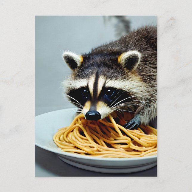 Raccoon Eating Spaghetti Postcard (Front)