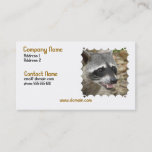 Raccoon Face Business Card