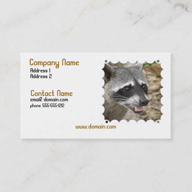Raccoon Face Business Card (Front)
