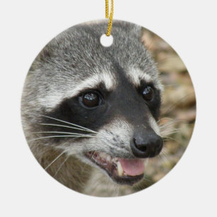Raccoon Face Ornament