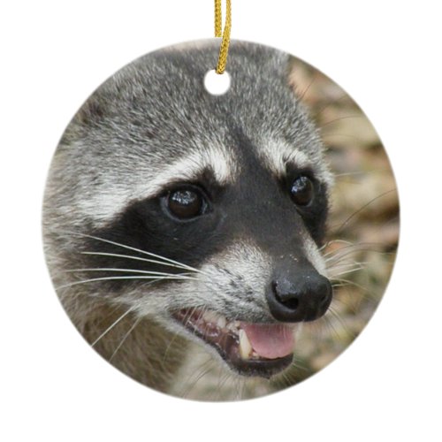 Raccoon Face Ornament