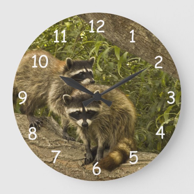 Raccoon Family Large Clock (Front)