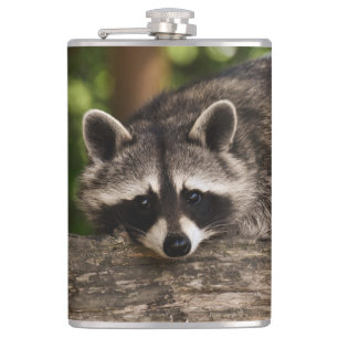 Raccoon Flask