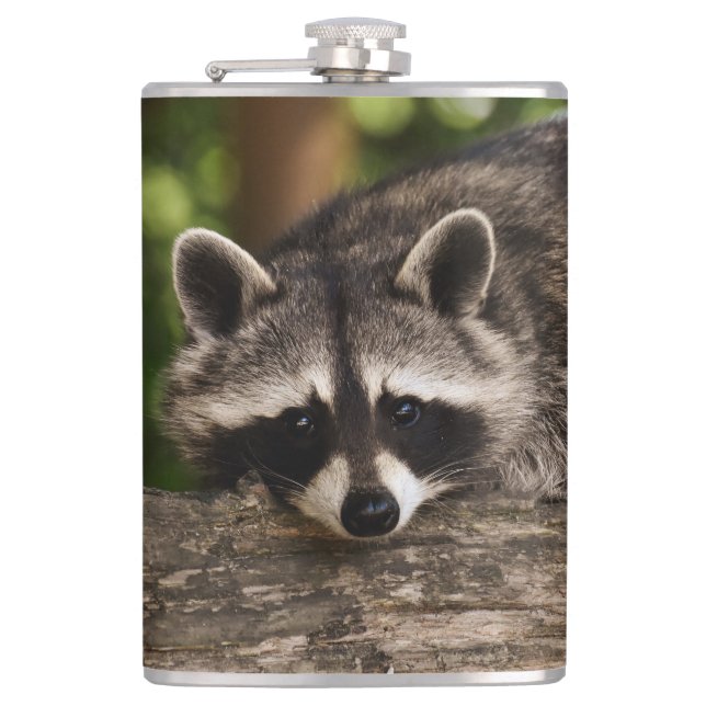 Raccoon Flask (Front)