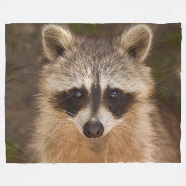 Raccoon Fleece Blanket (Front (Horizontal))