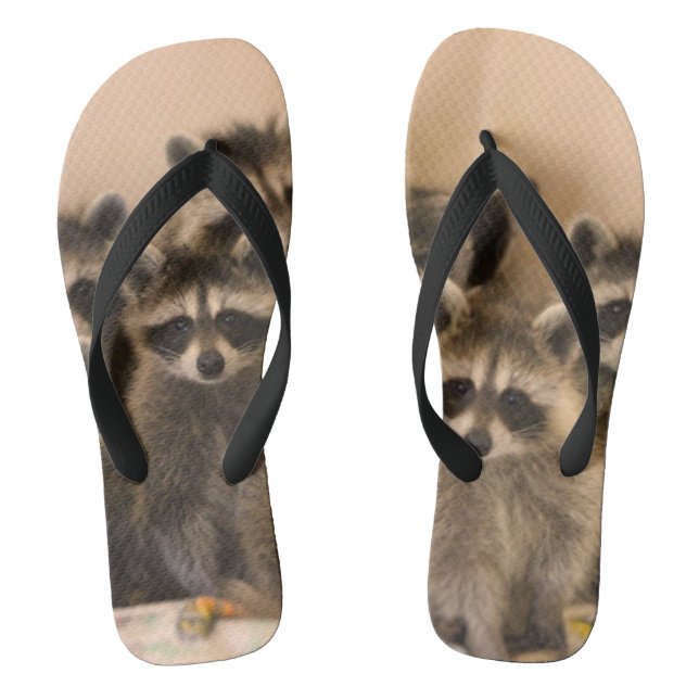 Raccoon flip flops. flip flops (Footbed)