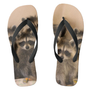 Raccoon flip flops. flops