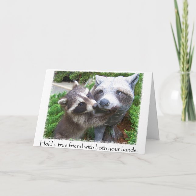 Raccoon friends notecard (Front)