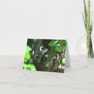 Raccoon Friendship Greeting Card