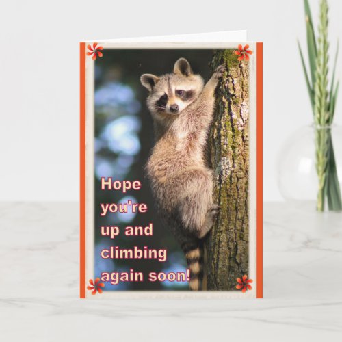 Raccoon get well card card