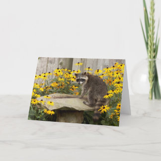 Raccoon Greeting Card