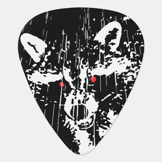 Raccoon Guitar Pick (Front)