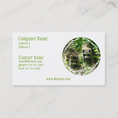 Raccoon Habitat Business Card