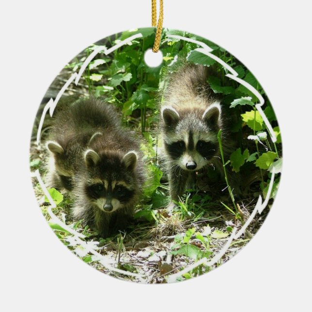 Raccoon Habitat Ornament (Front)