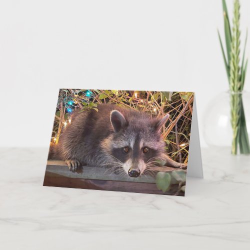 Raccoon  Happy Birthday Card for all