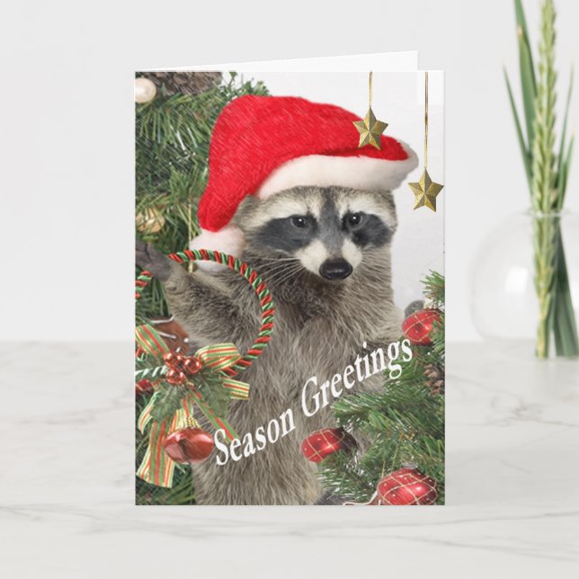 Raccoon Holiday Greetings Card (Front)