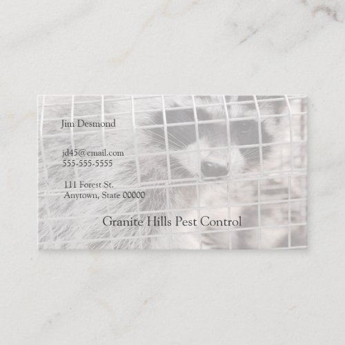 Raccoon in a trap business card