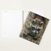 Raccoon in a Tree Hollow Planner (Display)