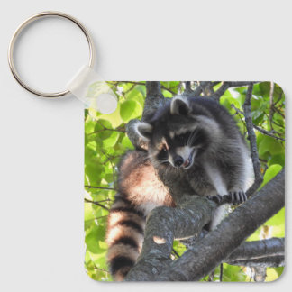 Raccoon in a Tree Keychain