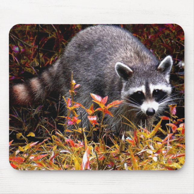 RACCOON IN AUTUMN MOUSE PAD (Front)
