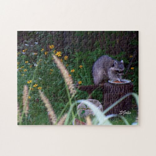 Raccoon in Garden Puzzle