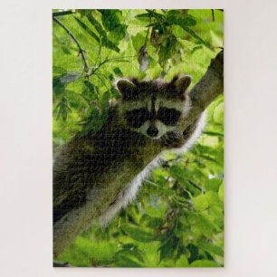 Raccoon in Green Tree Cute gray masked raccoon Jigsaw Puzzle