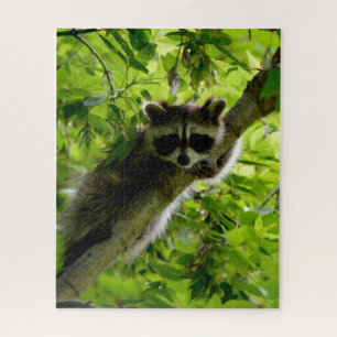 Raccoon in Green Tree Cute gray masked raccoon Jigsaw Puzzle