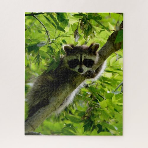 Raccoon in Green Tree Cute gray masked raccoon Jigsaw Puzzle