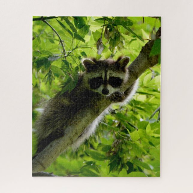 Raccoon in Green Tree Cute gray masked raccoon Jigsaw Puzzle (Vertical)