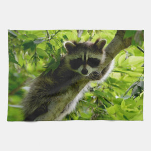 Raccoon in Green Tree Cute gray masked raccoon Kitchen Towel
