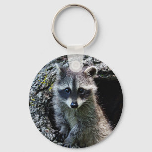Raccoon in the Den Keychain