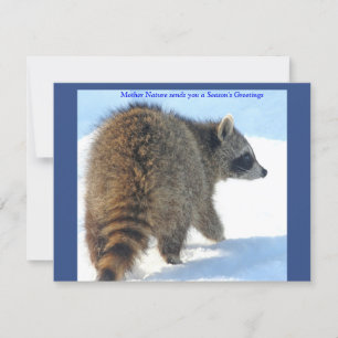 Raccoon in the Holiday Snow Card