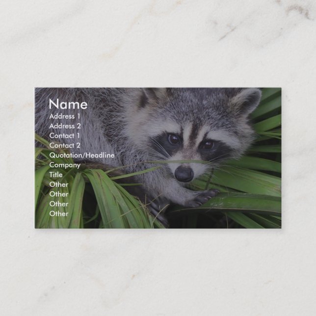 Raccoon In The Plants Business Card (Front)