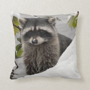 raccoon pillow pet
