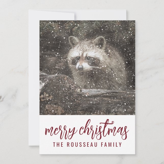 Raccoon In Winter Snow Christmas Holiday Card (Front)