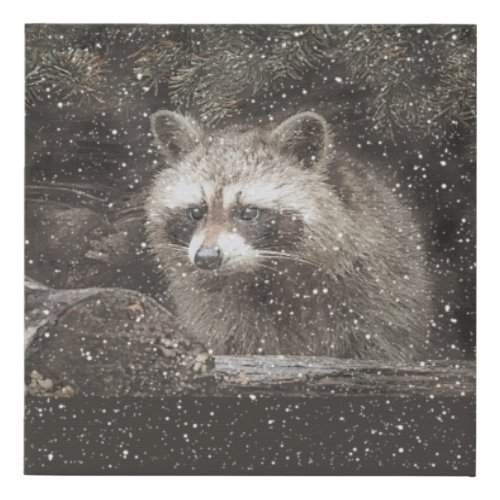 Raccoon In Winter Snow Faux Canvas Print