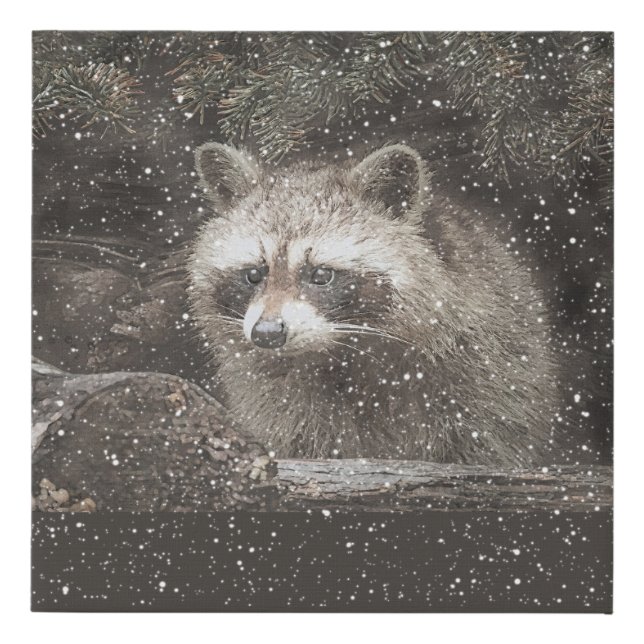 Raccoon In Winter Snow Faux Canvas Print (Front)