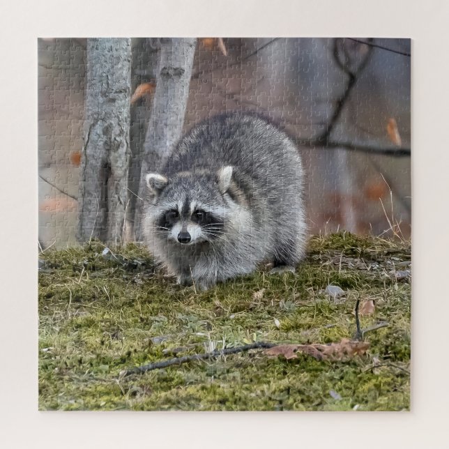 Raccoon Jigsaw Puzzle (Vertical)