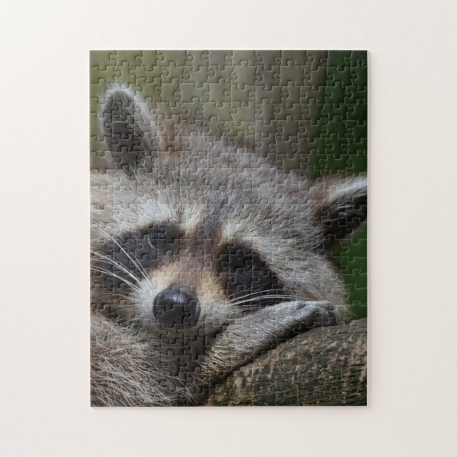 Raccoon Jigsaw Puzzle (Vertical)
