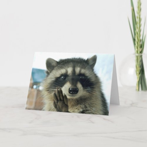 Raccoon _ just to say hi _ greeting card