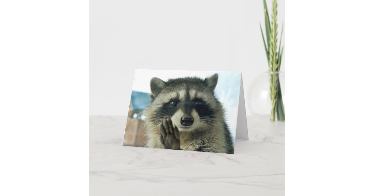 Raccoon just to say hi greeting card Zazzle