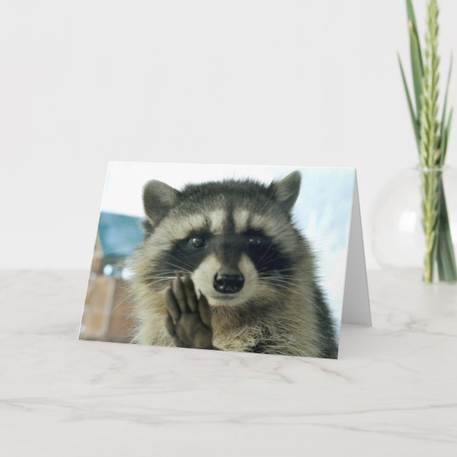 Raccoon - just to say hi - greeting card (Front)