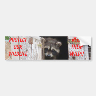 Raccoon Keep Them Wild!! Bumoer Sticker