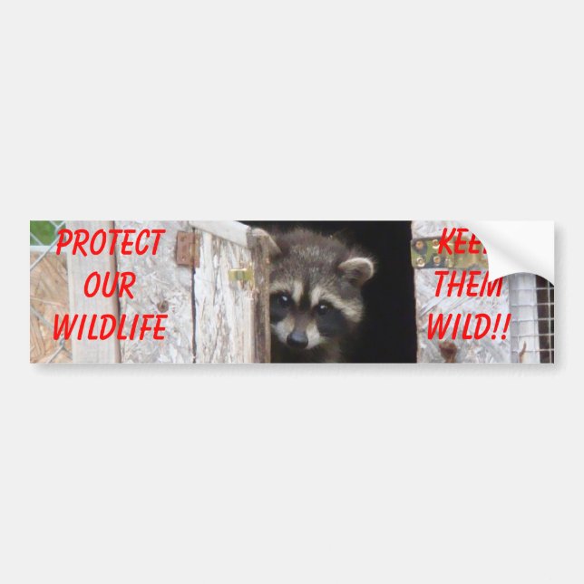 Raccoon Keep Them Wild!! Bumoer Sticker (Front)